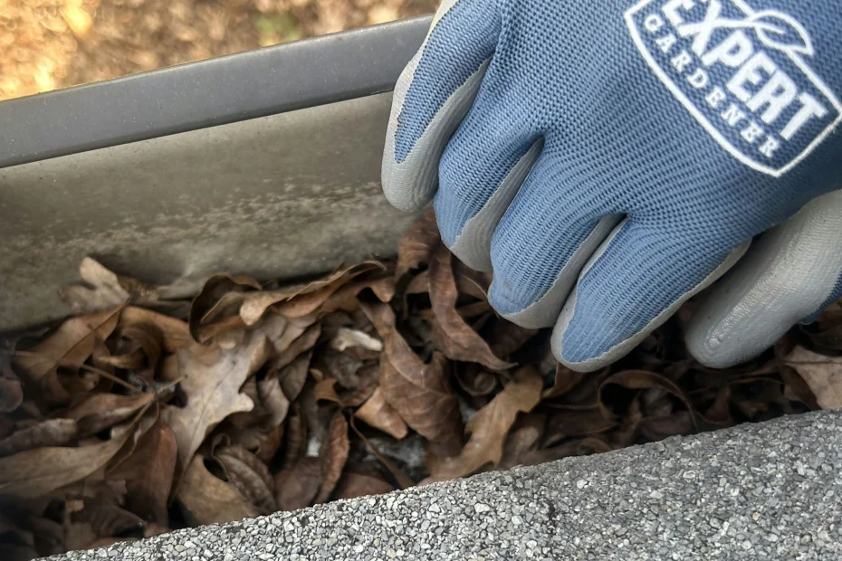 Gutter Cleaning Sullivan's Island