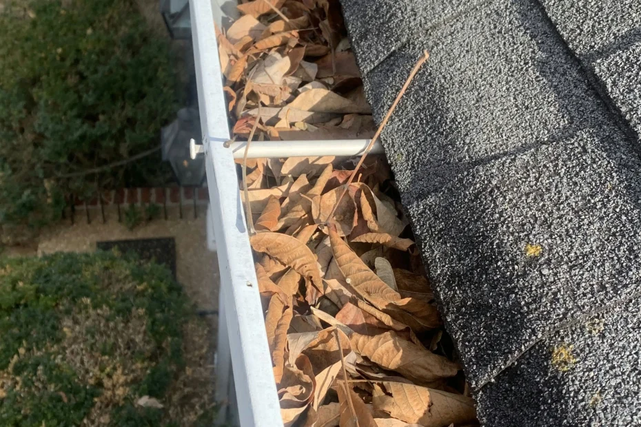 Gutter Cleaning Sullivan's Island